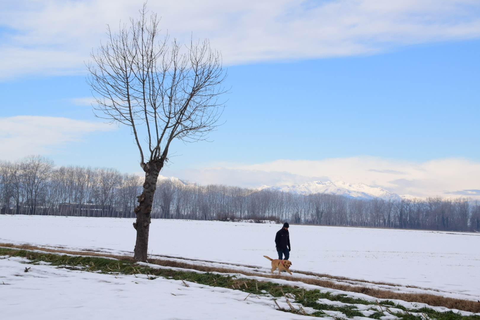 Nikon D5300 sample photo