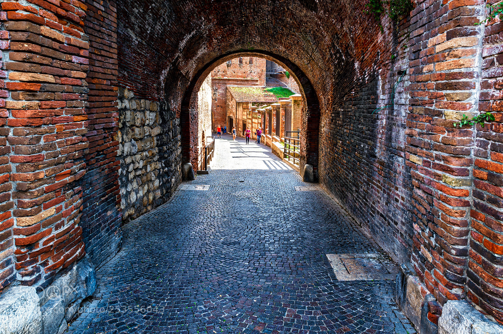 Nikon D4S sample photo. Verona ! photography