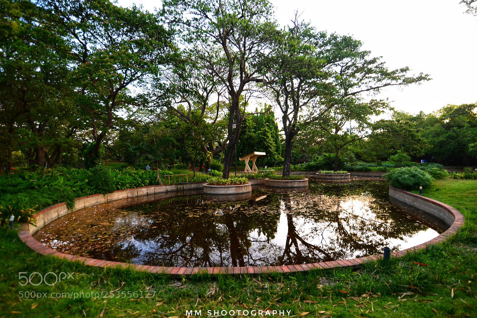 Nikon D610 sample photo. Semmozhi poonga photography