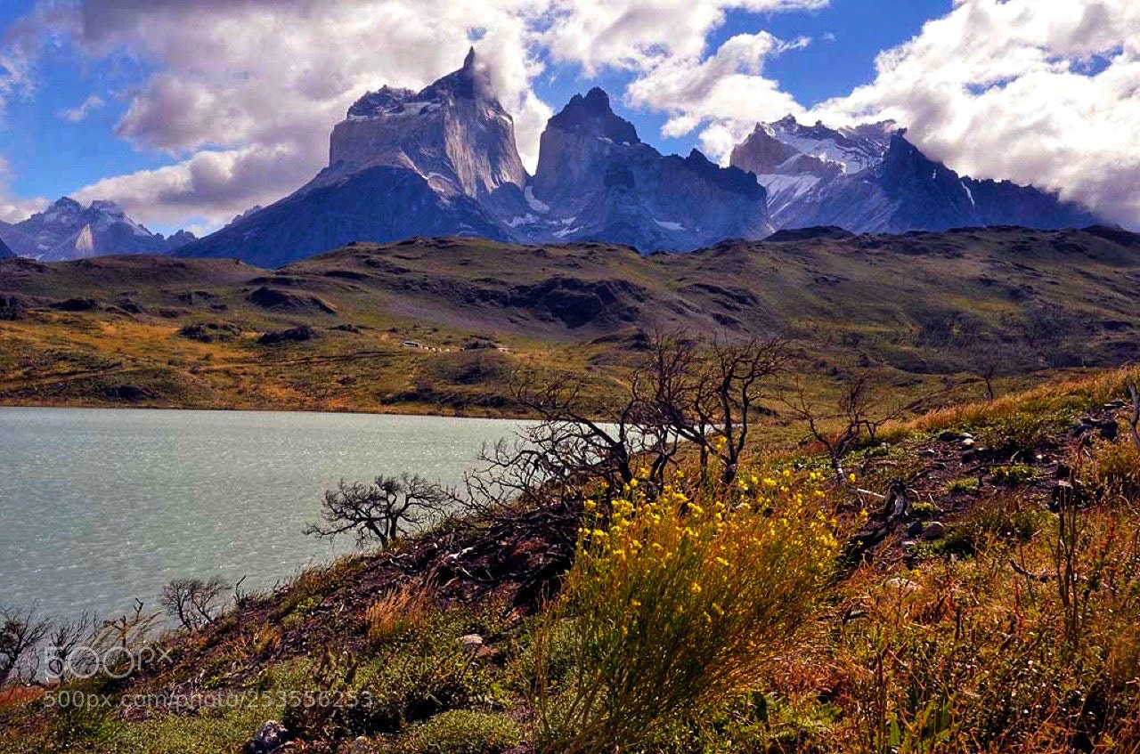 Nikon D7000 sample photo. Torres del paine national photography