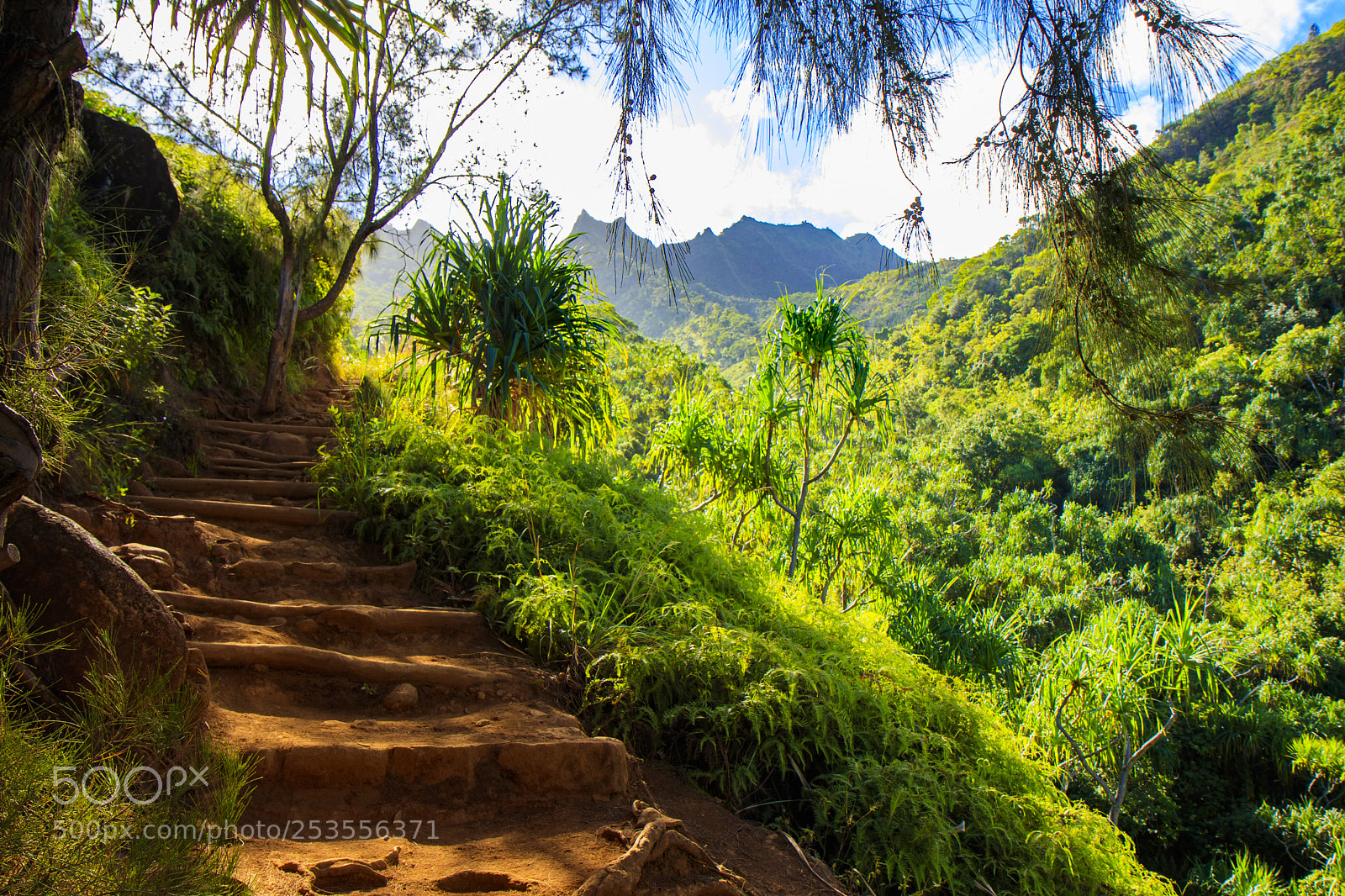 Canon EOS 80D sample photo. Kauai photography