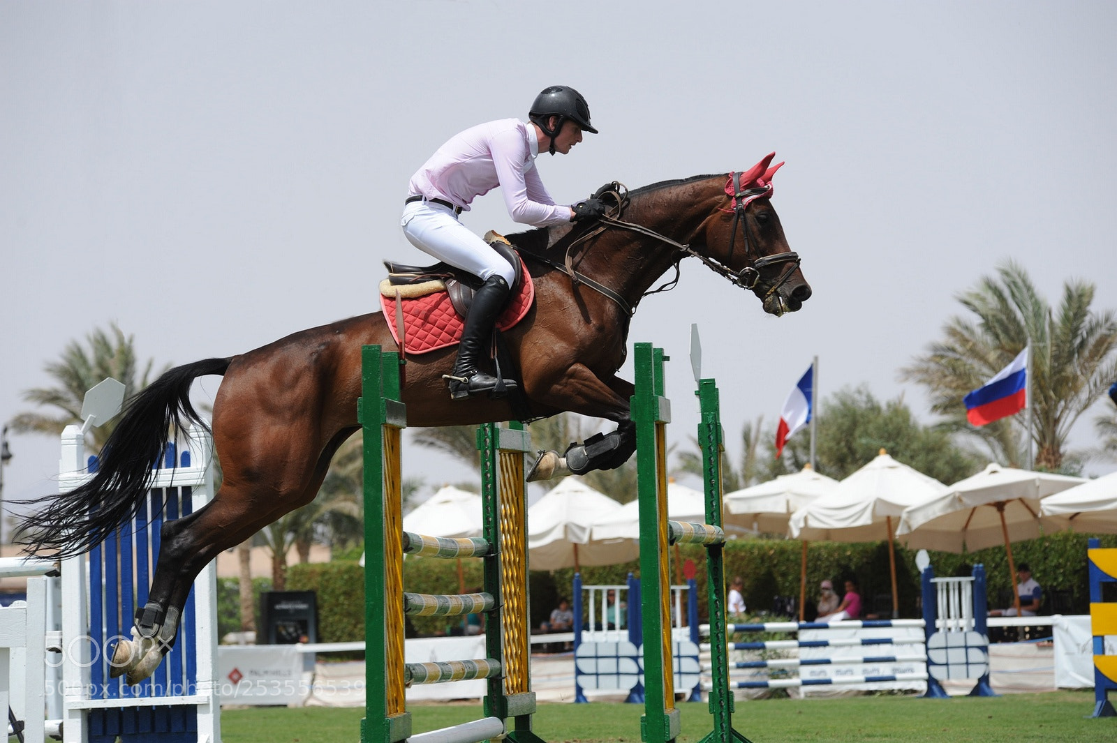 Nikon D700 sample photo. Jump photography