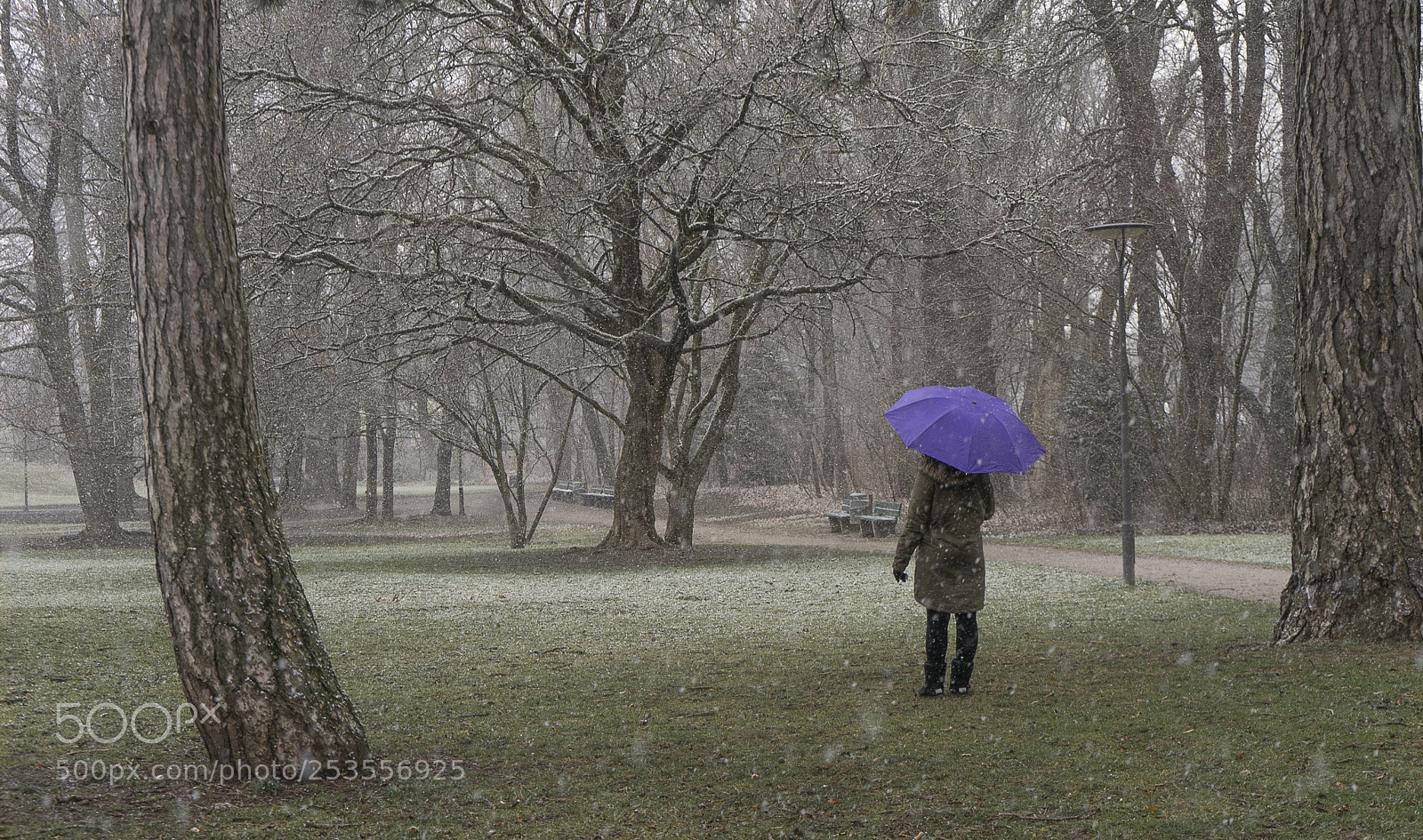 Sony a7 sample photo. On a snowy winter photography