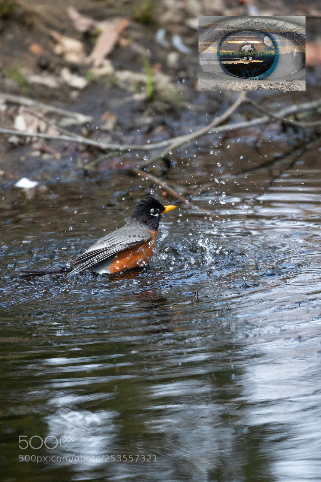 Canon EOS 5D Mark IV sample photo. Splish splash i was photography