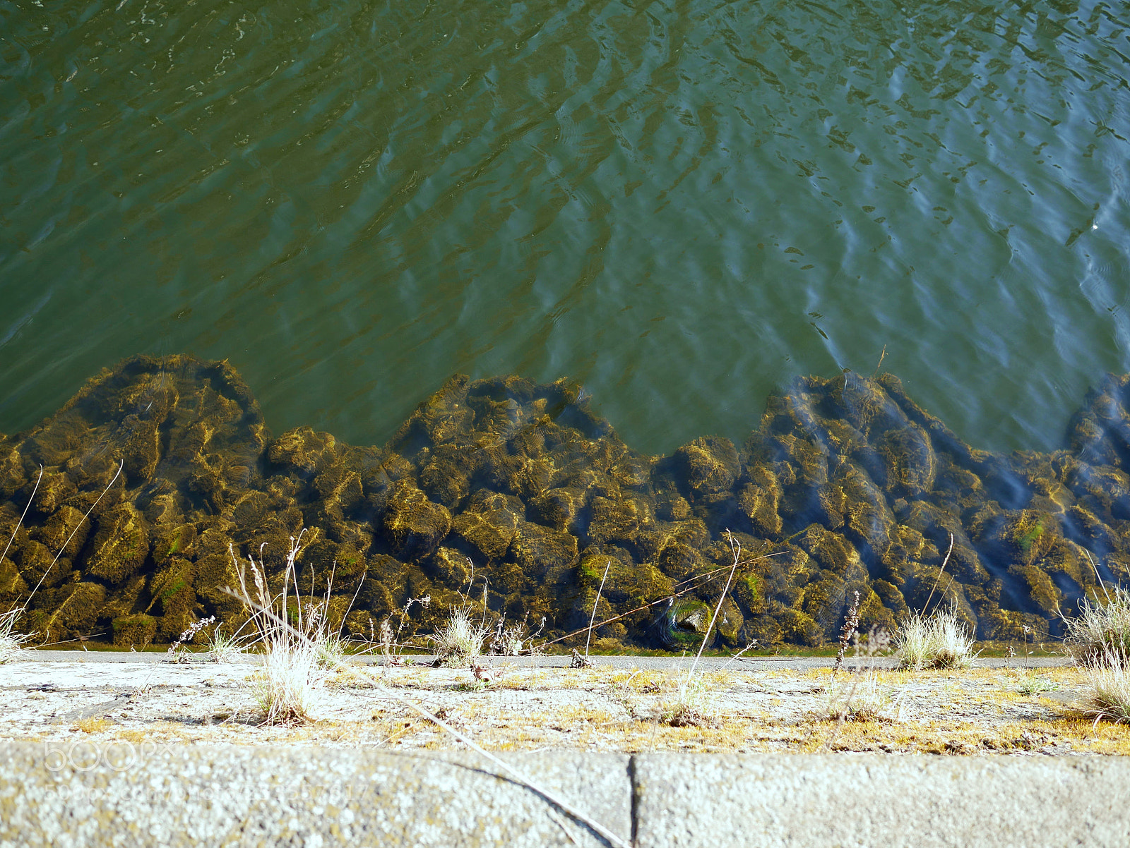 Panasonic DMC-G70 sample photo. Rustywater. photography