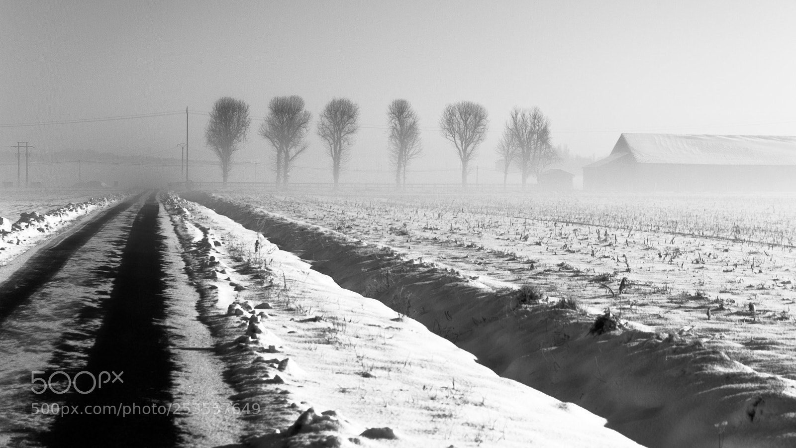 Canon EOS 7D sample photo. Winter photography