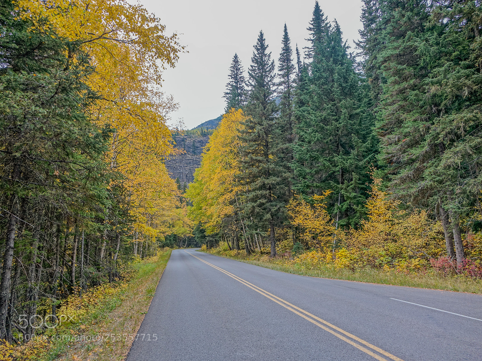 Sony Cyber-shot DSC-RX10 sample photo. Highway that crosses an photography