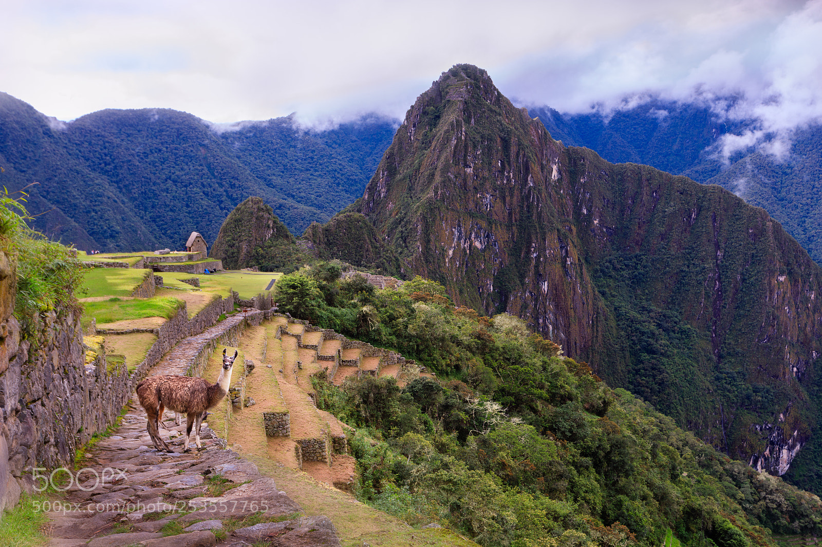 Canon EOS 5D Mark IV sample photo. Lost city machu picchu photography
