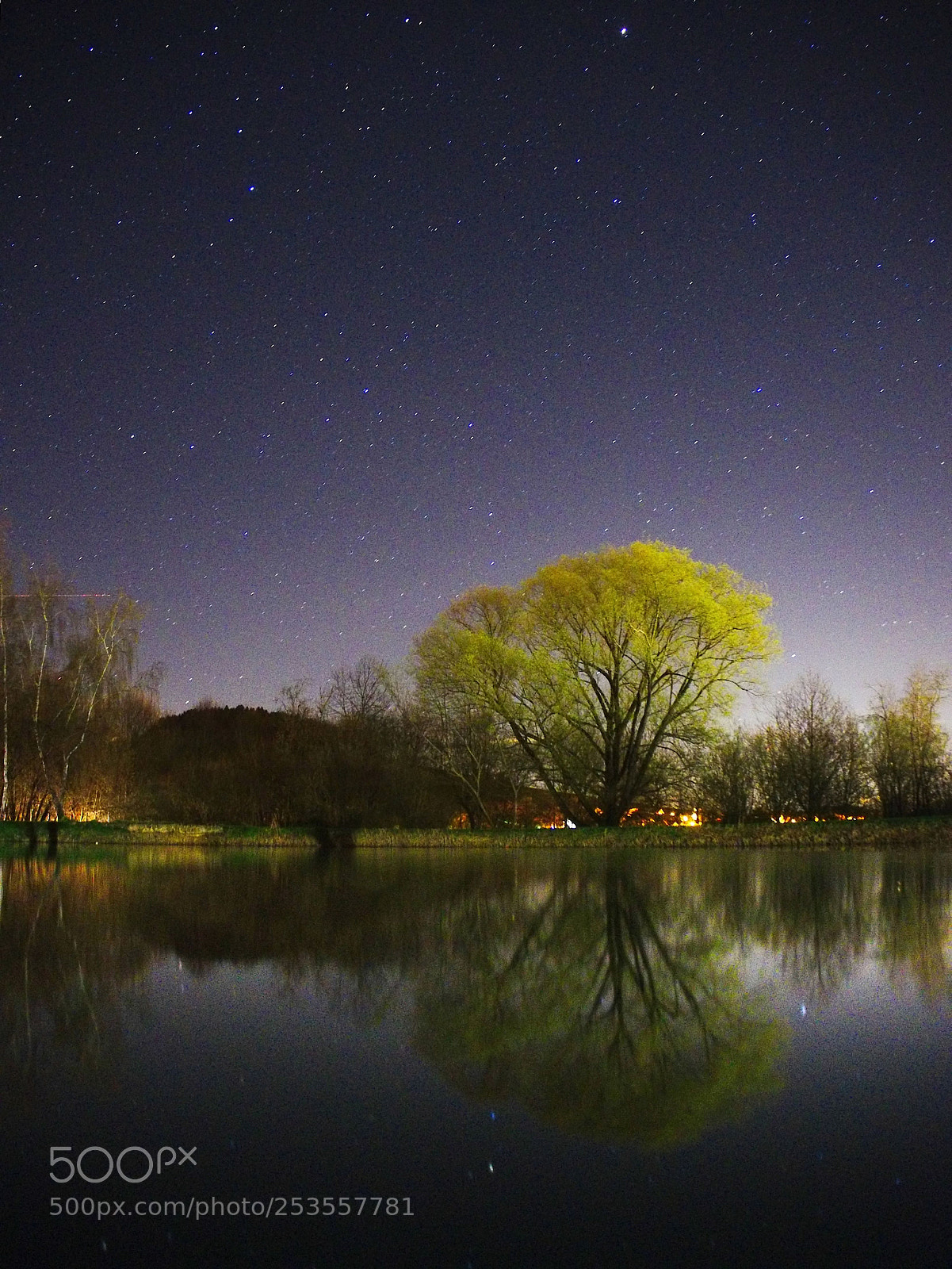 Olympus OM-D E-M10 II sample photo. Tree at lake photography
