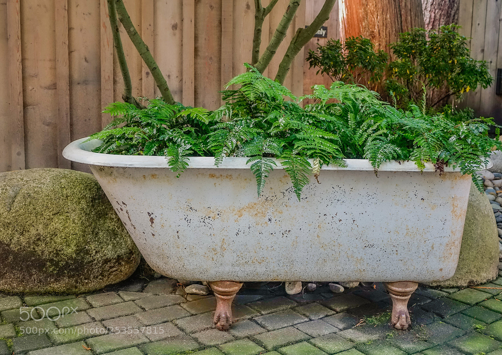 Sony Cyber-shot DSC-RX10 sample photo. Old white bathtub with photography
