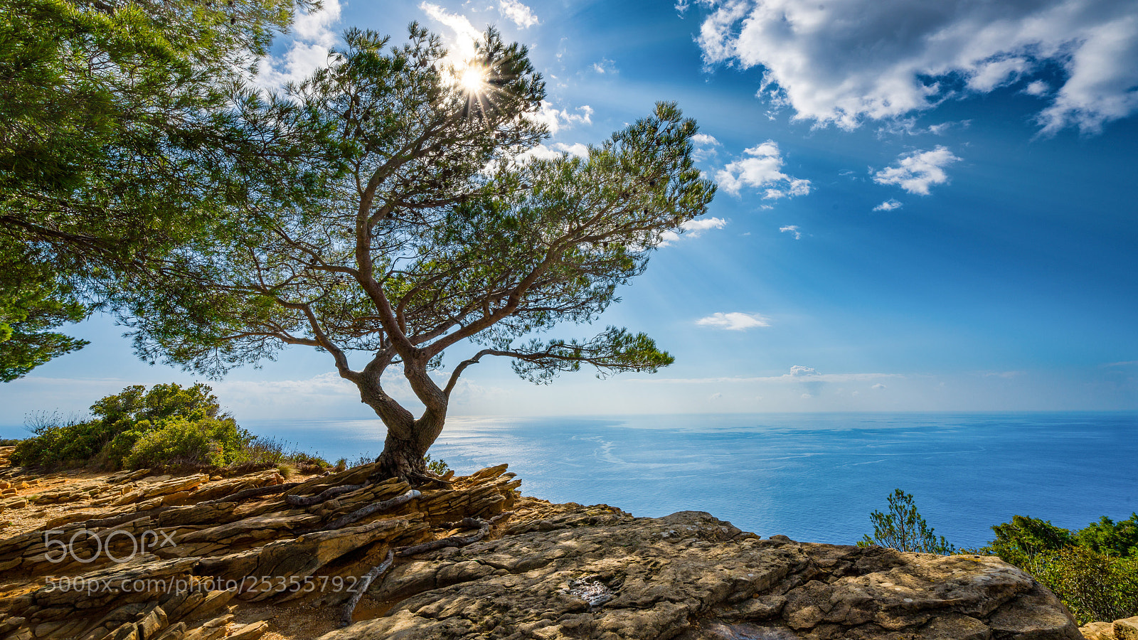 Sony a7R III sample photo. Mediteranee photography