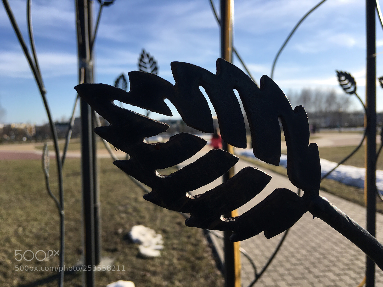 Apple iPhone SE sample photo. Iron flower photography