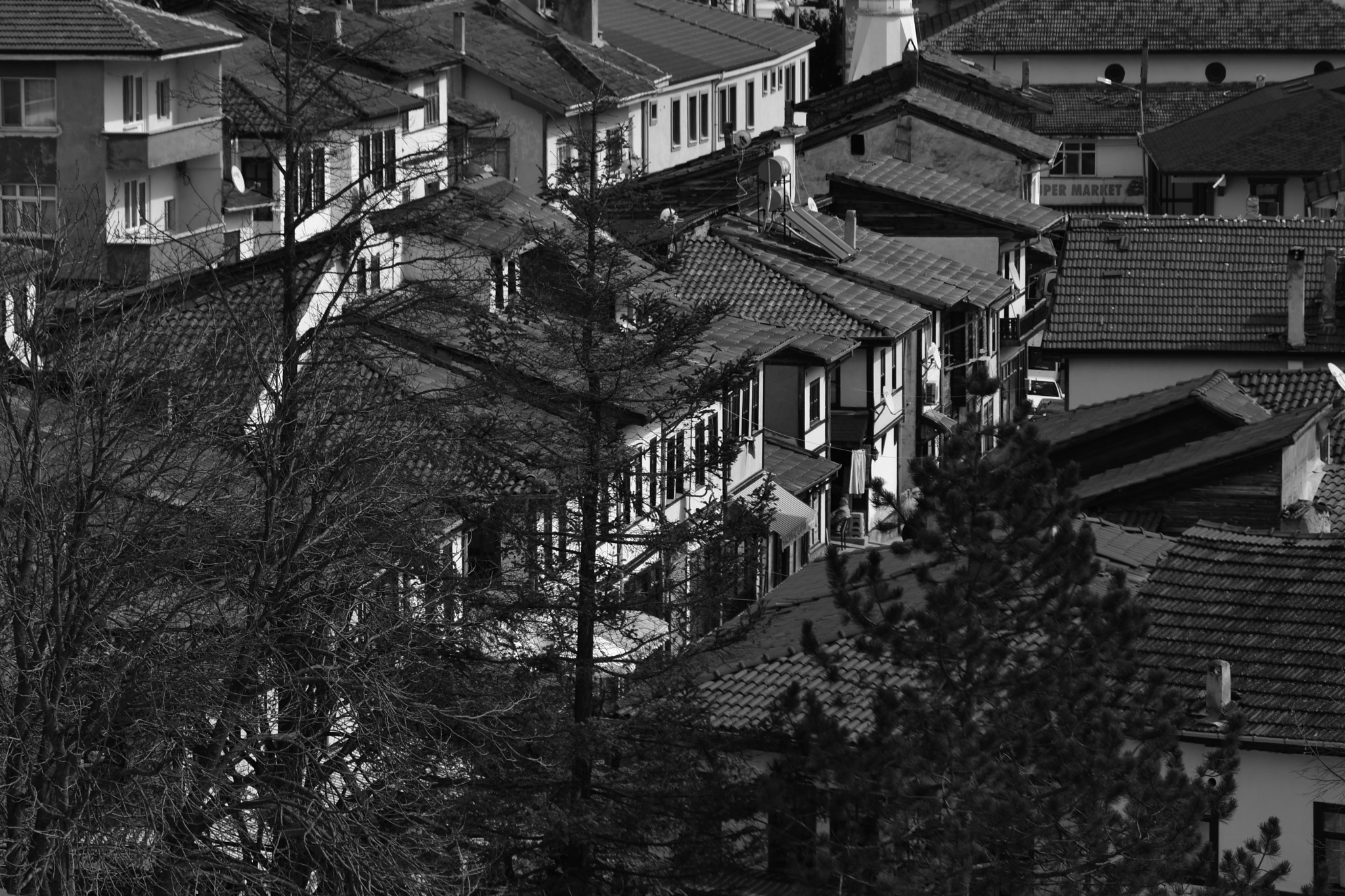 Nikon D7200 sample photo. Taraklı photography