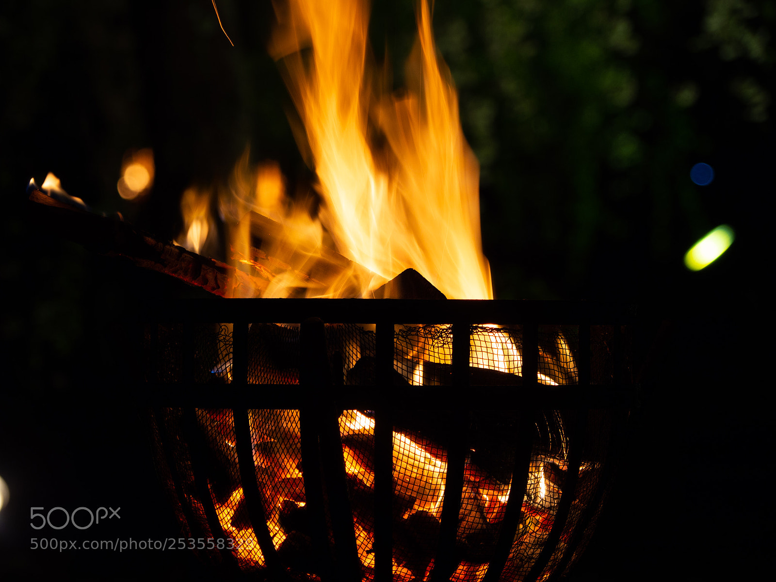 Olympus OM-D E-M10 II sample photo. Bonfire photography