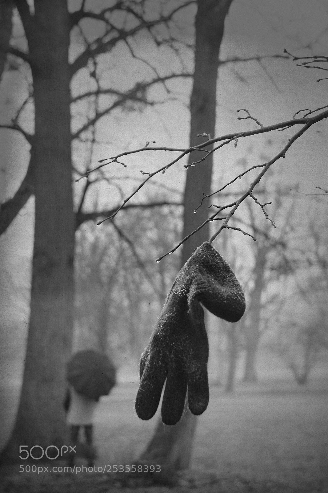Canon EOS 60D sample photo. Lost glove photography