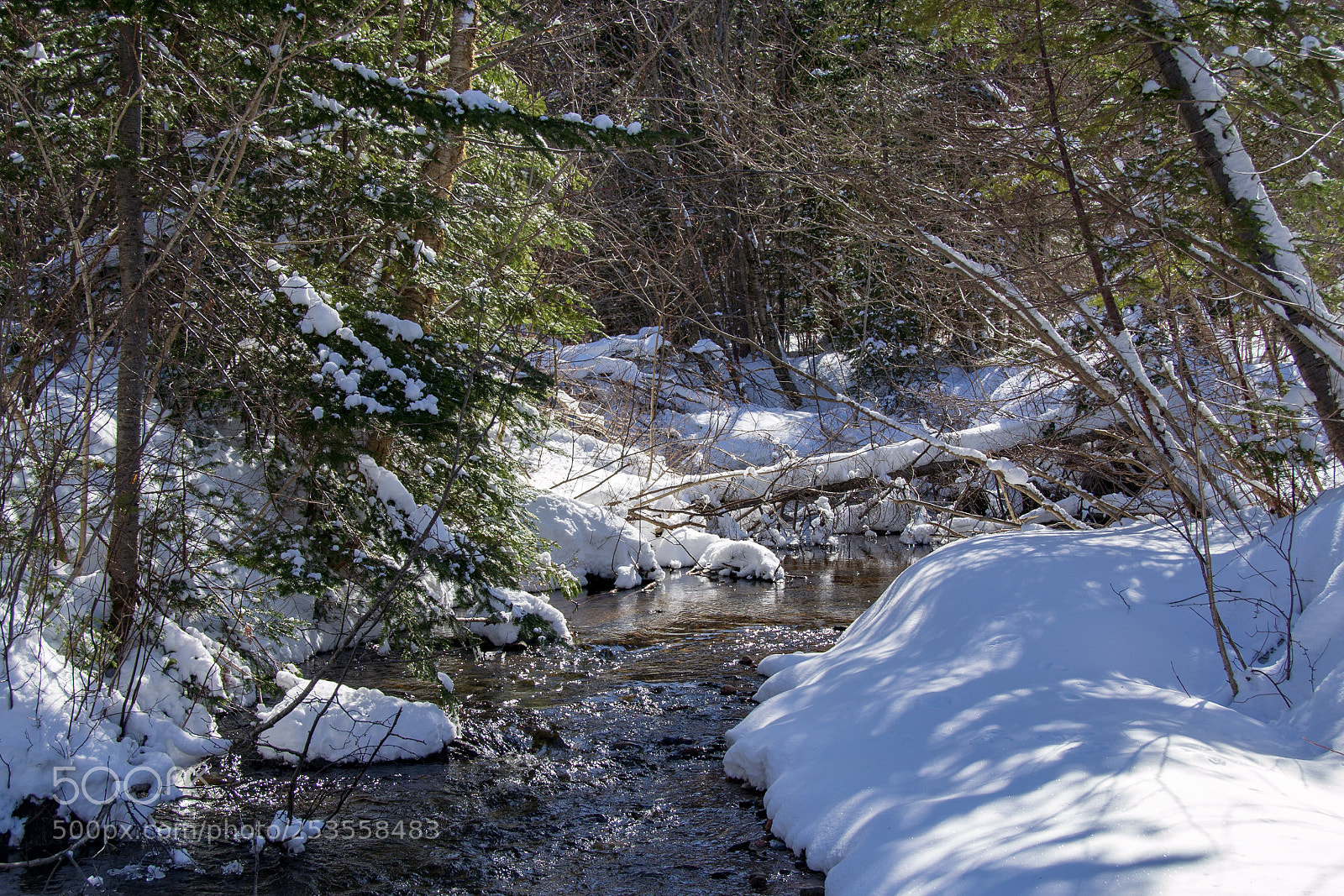 Nikon D3100 sample photo. Blue gulch brook photography