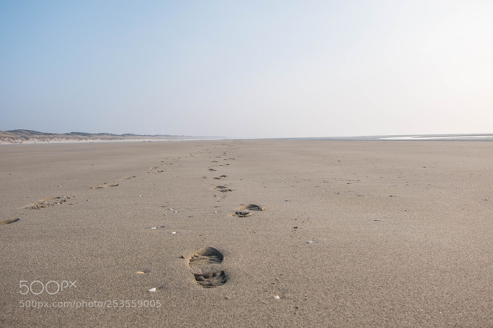 Fujifilm X-M1 sample photo. Follow me photography