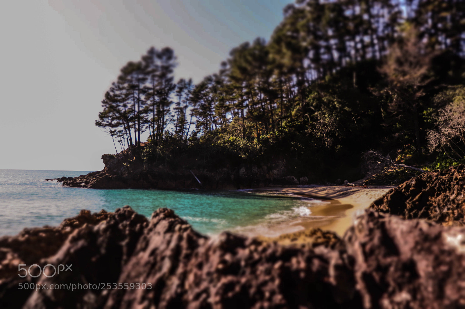 Canon EOS 800D (EOS Rebel T7i / EOS Kiss X9i) sample photo. Pokohino beach photography