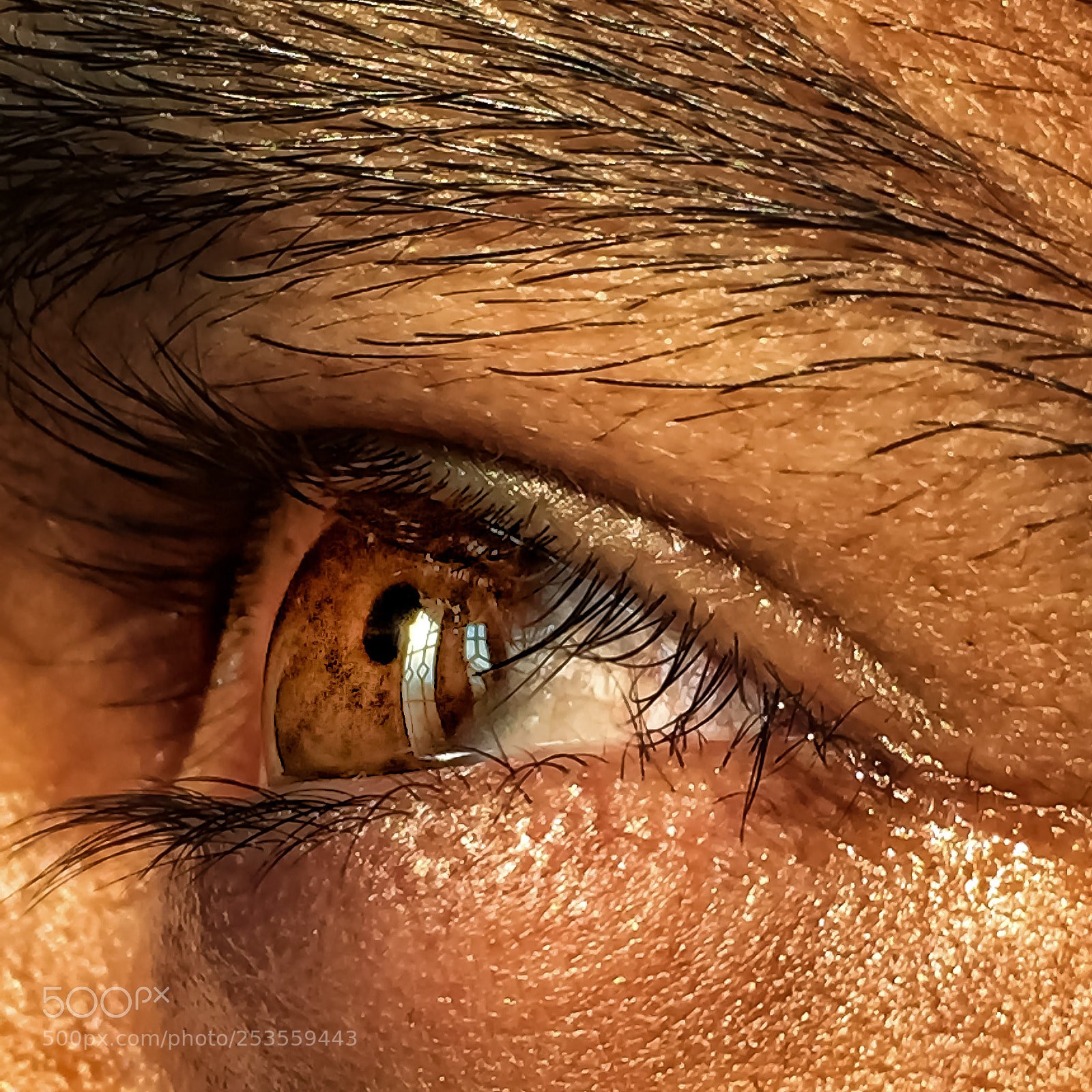 Apple iPhone 6 sample photo. Looking through the light . photography
