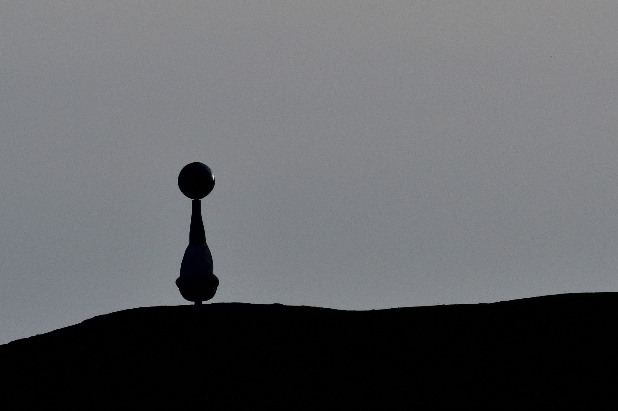Nikon AF-S Nikkor 200-500mm F5.6E ED VR sample photo. Equanimity photography