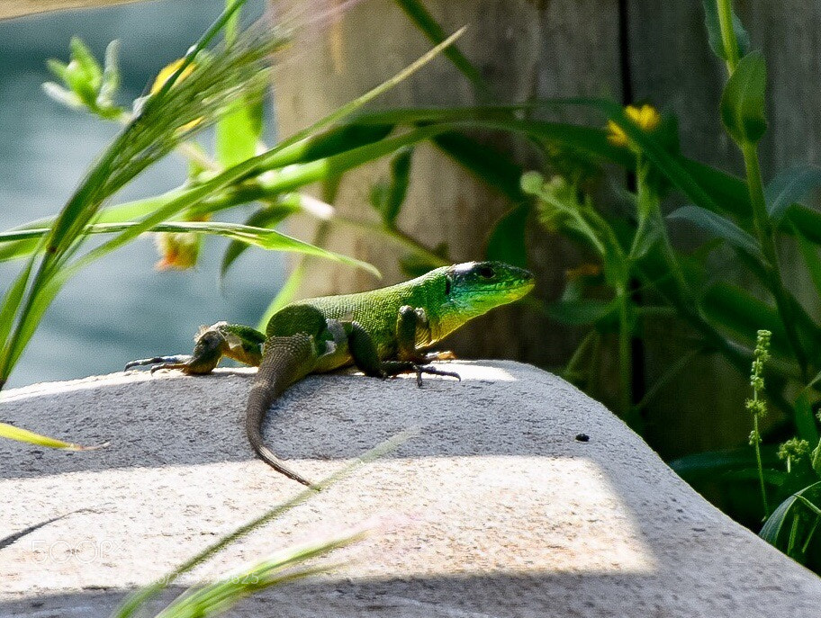 Nikon D3400 sample photo. Untitled photography