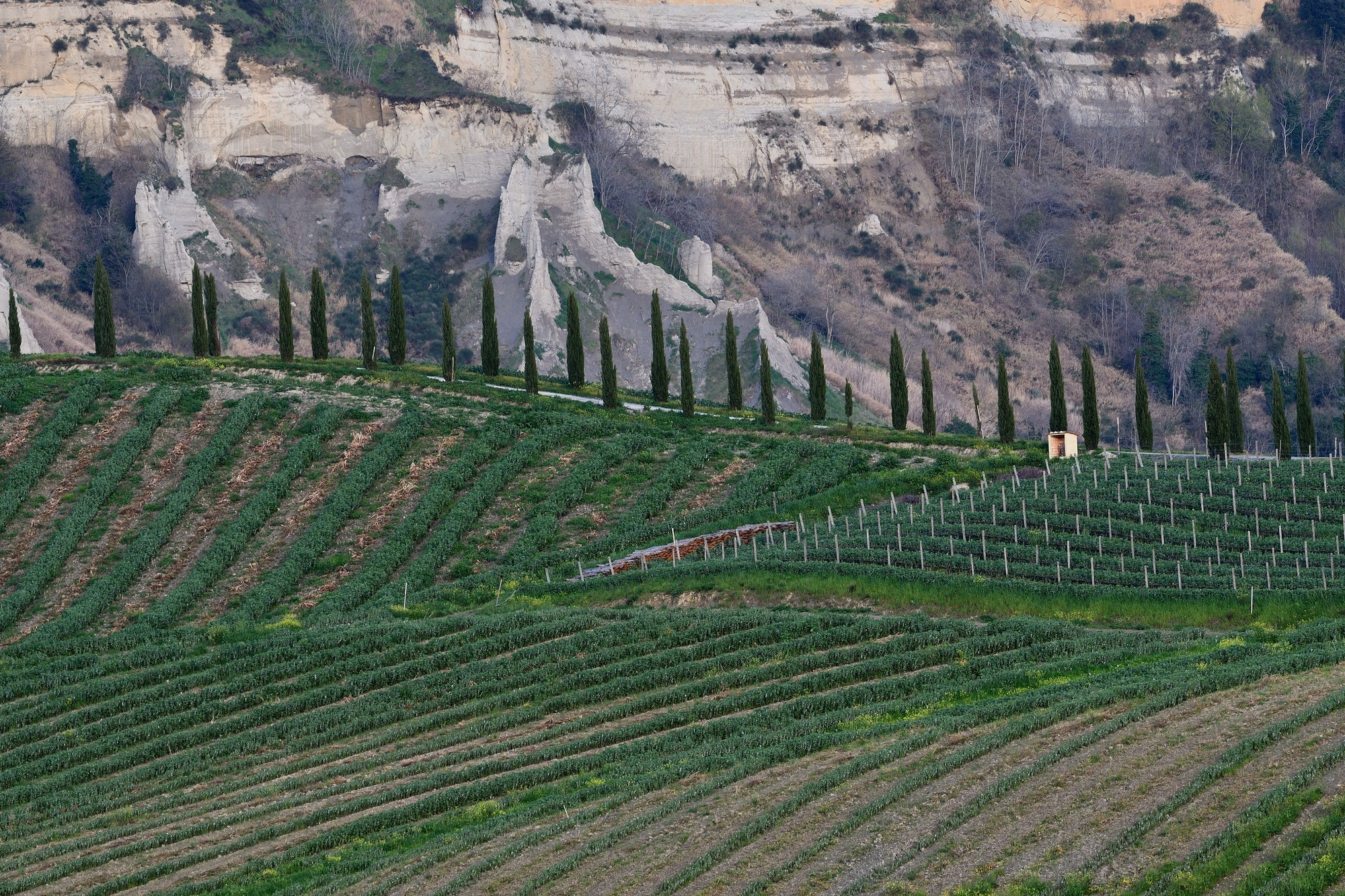 Nikon AF-S Nikkor 200-500mm F5.6E ED VR sample photo. Vigne e calanchi photography