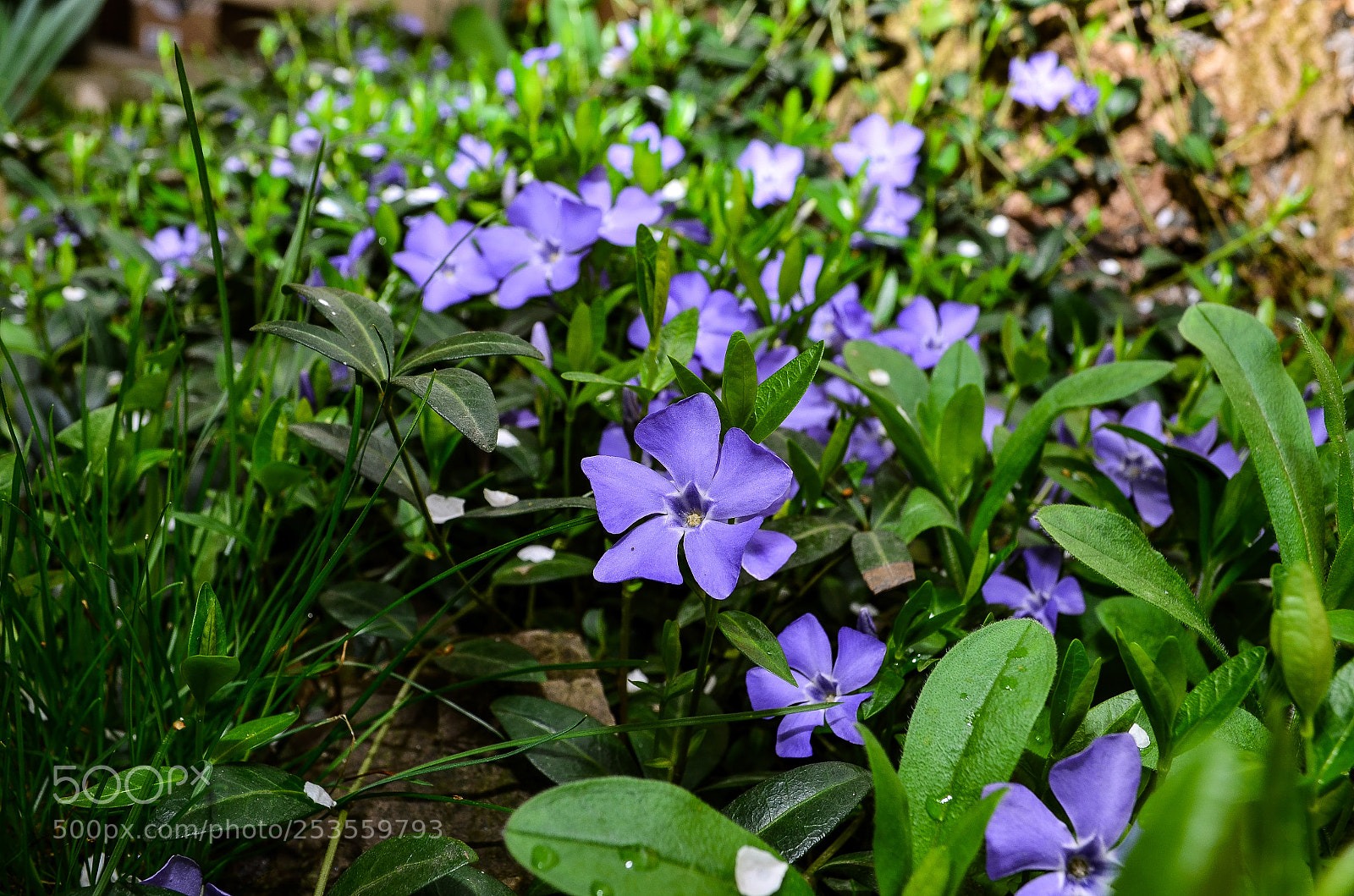 Nikon D5100 sample photo. Untitled photography