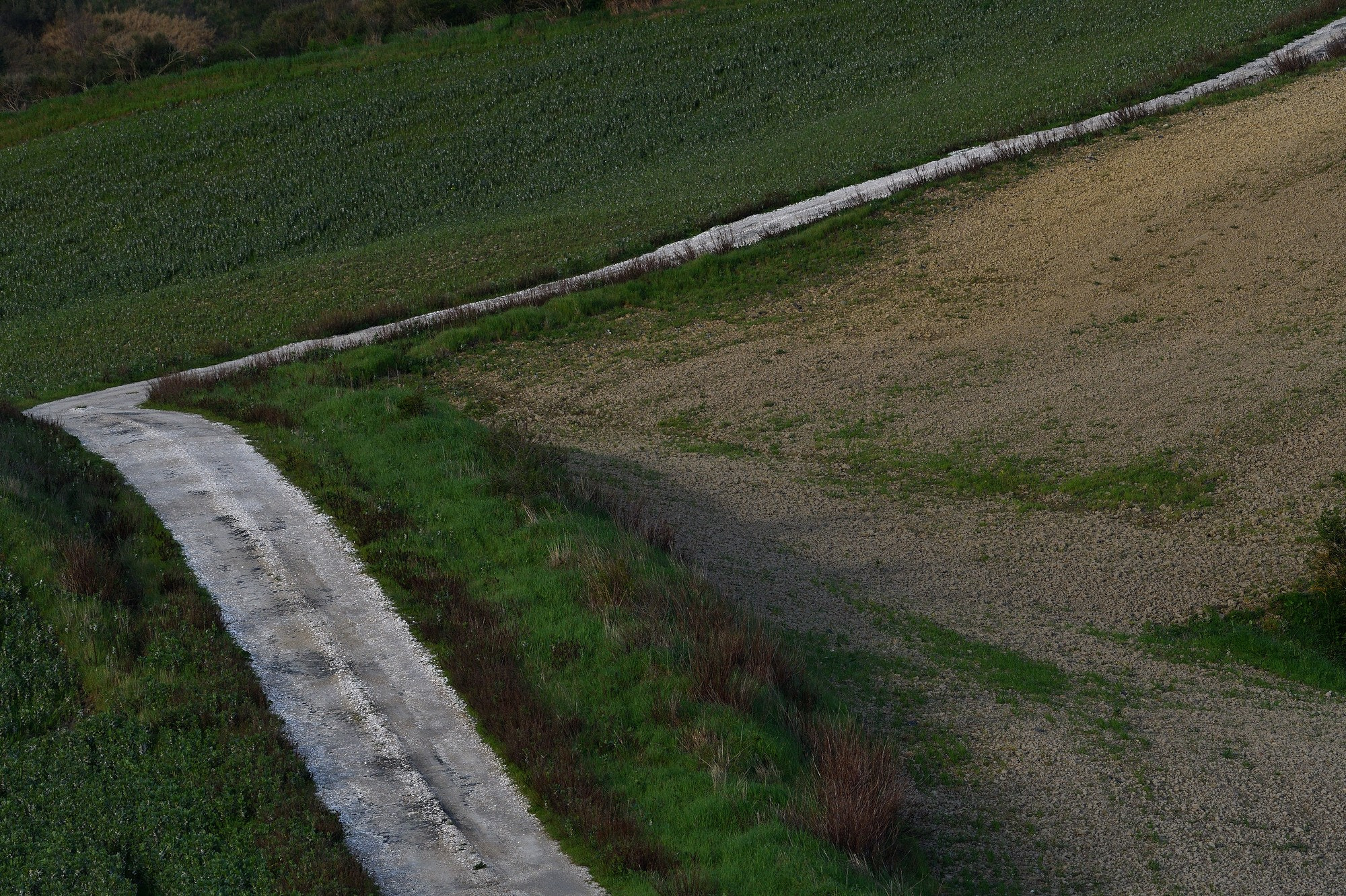 Nikon AF-S Nikkor 200-500mm F5.6E ED VR sample photo. Strada bianca photography