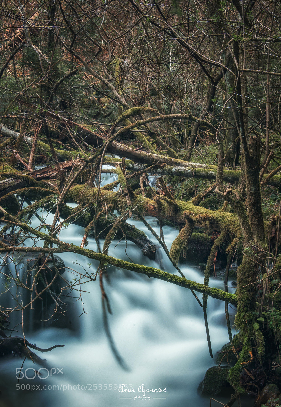 Nikon D7100 sample photo. River in nature photography