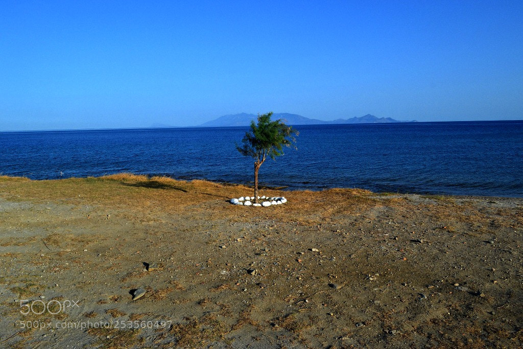 Nikon D3100 sample photo. Patyk photography
