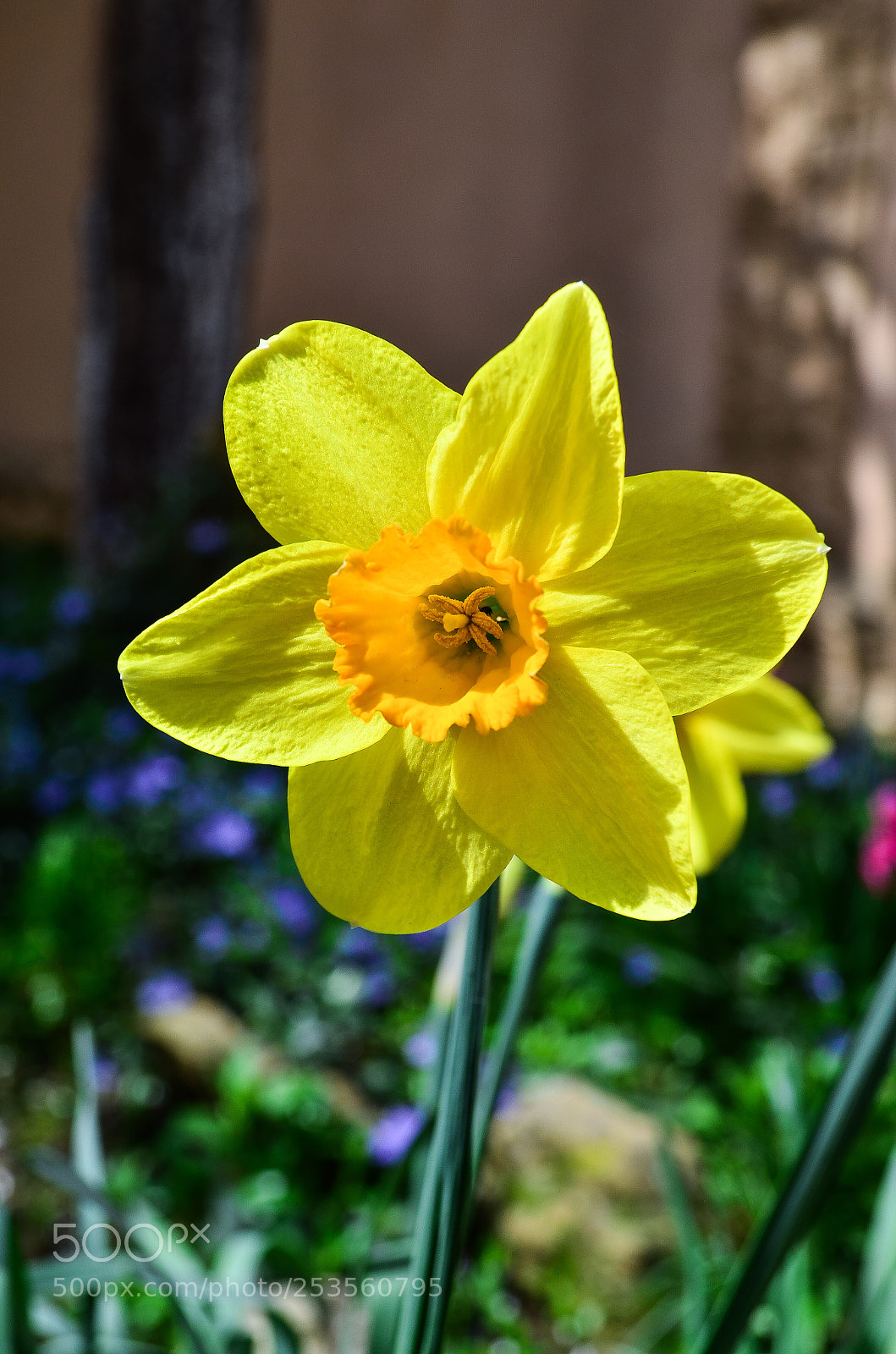 Nikon D5100 sample photo. Untitled photography