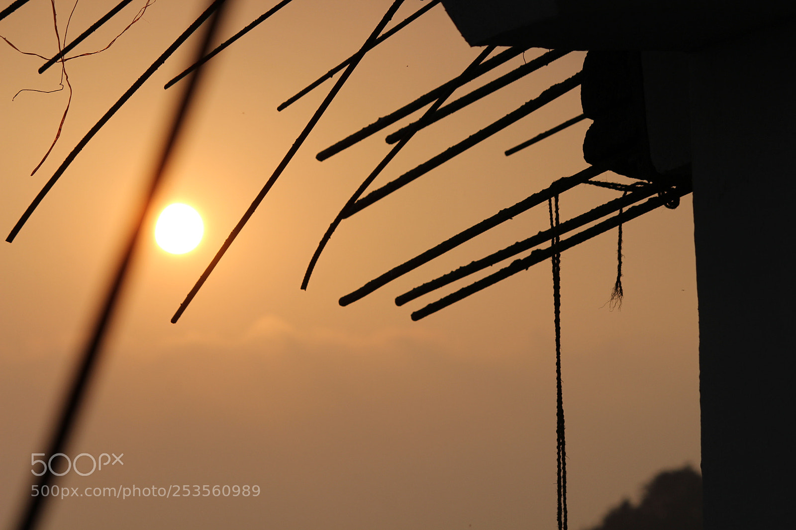 Canon EF-S 55-250mm F4-5.6 IS II sample photo. Silhoutte photography