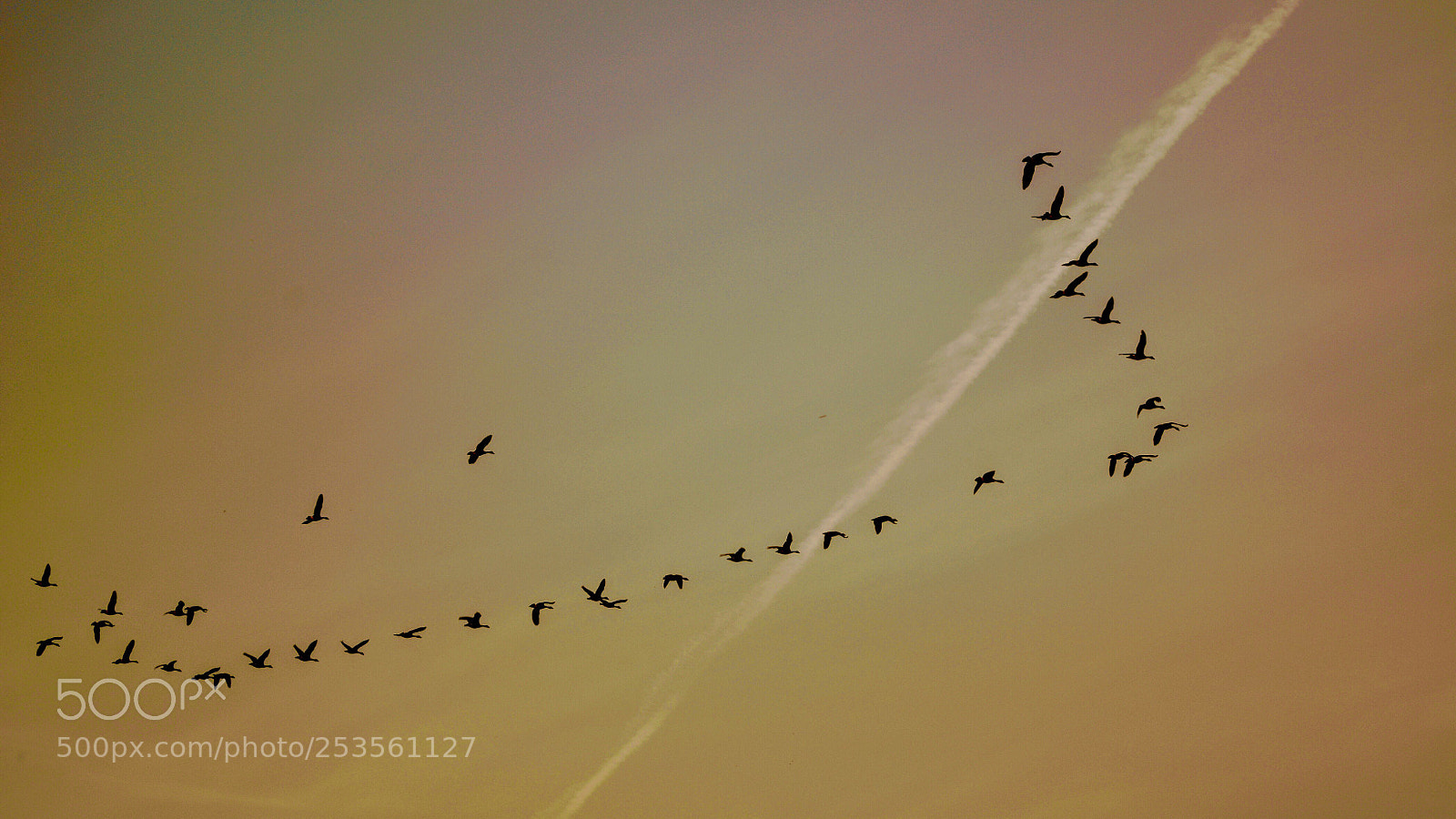 Nikon D7100 sample photo. Untitled photography