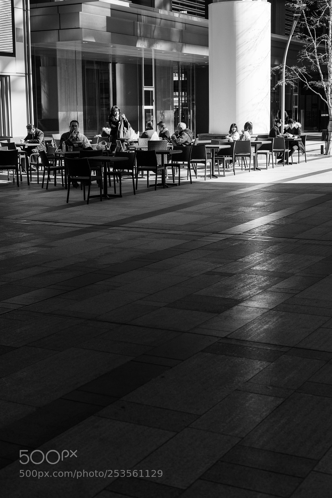 Nikon D800E sample photo. Light and shadow photography
