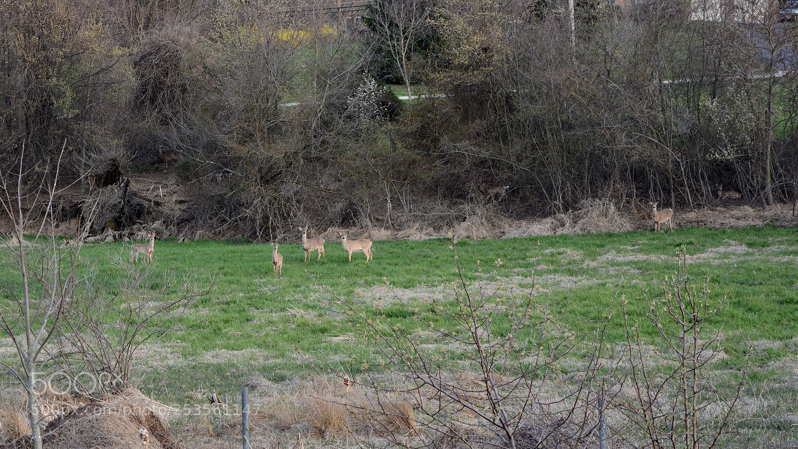 Nikon D7100 sample photo. Untitled photography