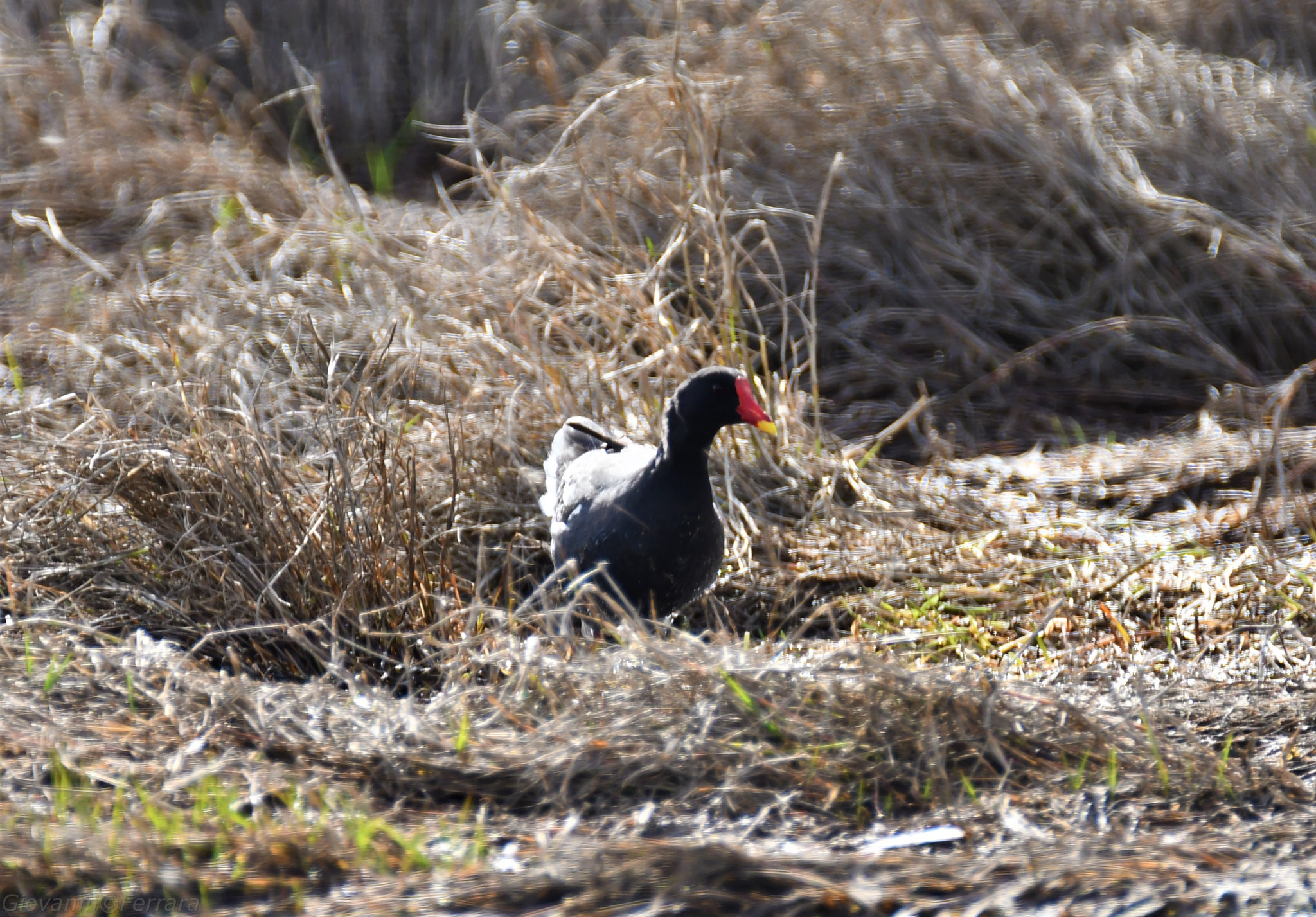 Nikon D7500 sample photo. 0813.jpg photography