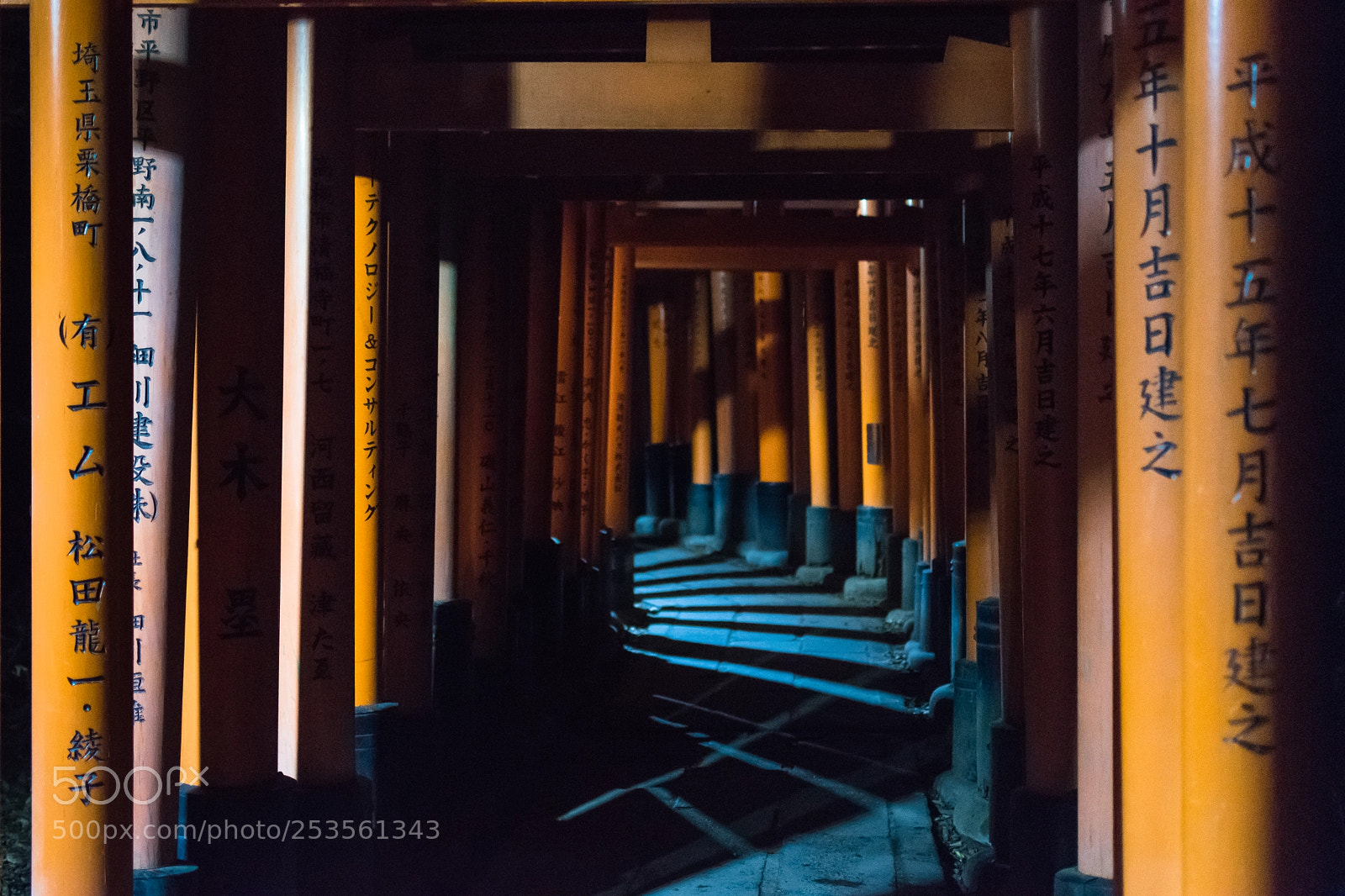 Nikon D5500 sample photo. Fushimi inari lights and photography