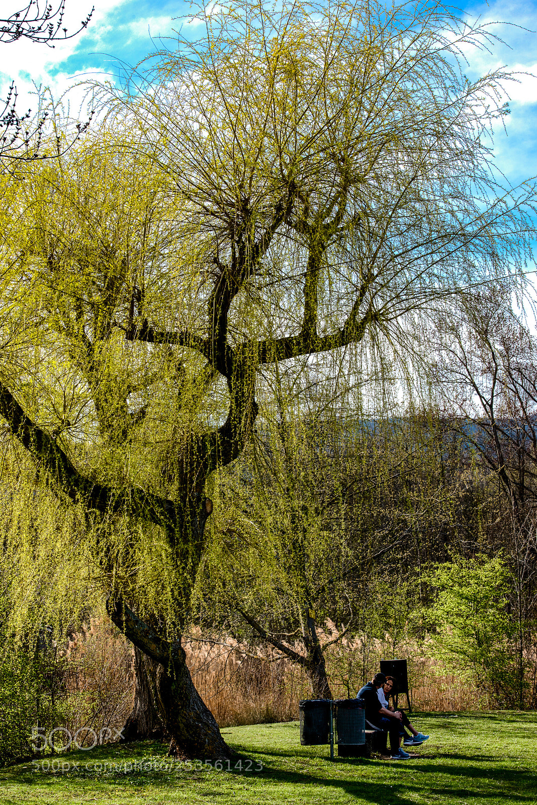 Nikon D810 sample photo. The colors of spring photography