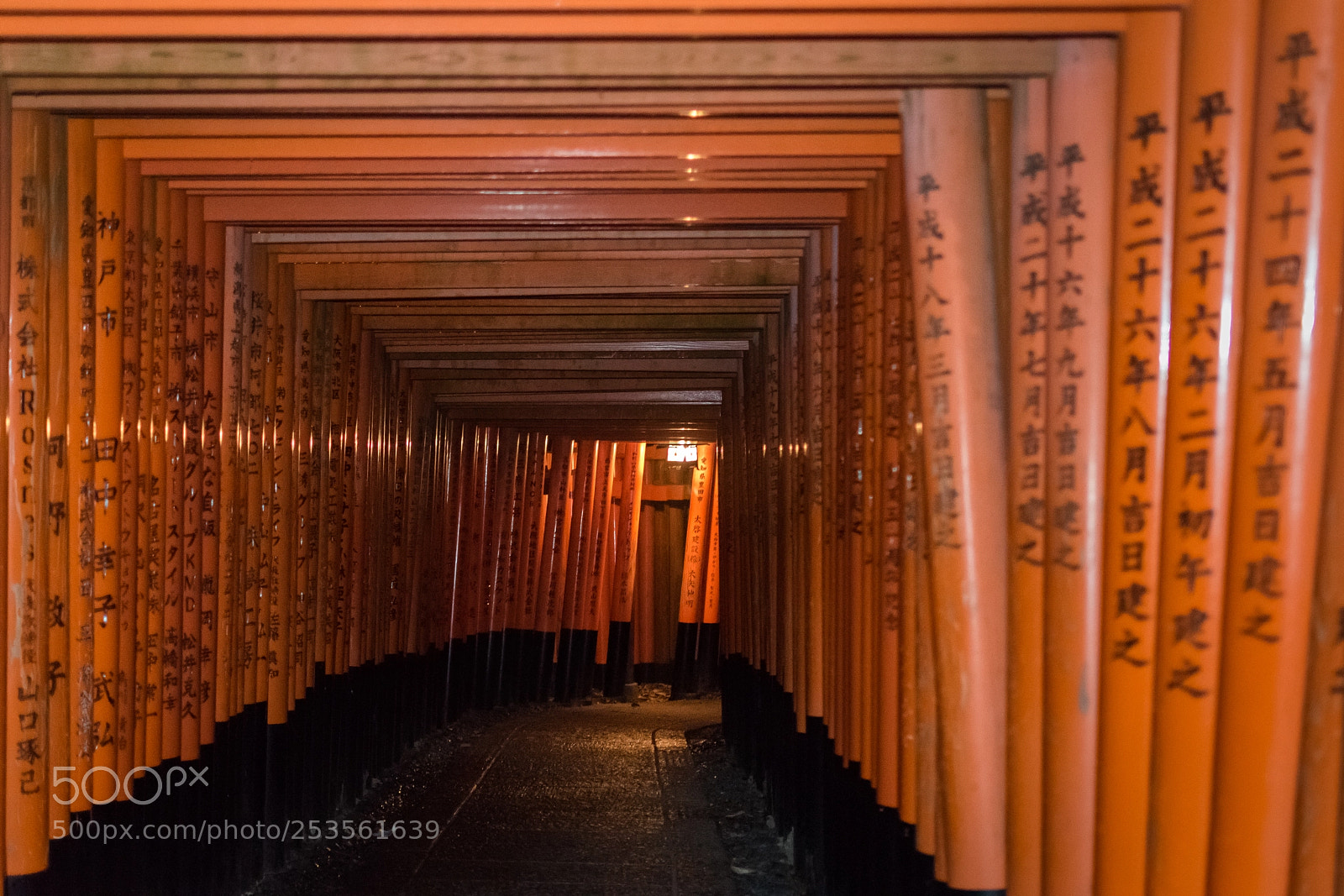 Nikon D5500 sample photo. Fushimi inari torii gallery photography