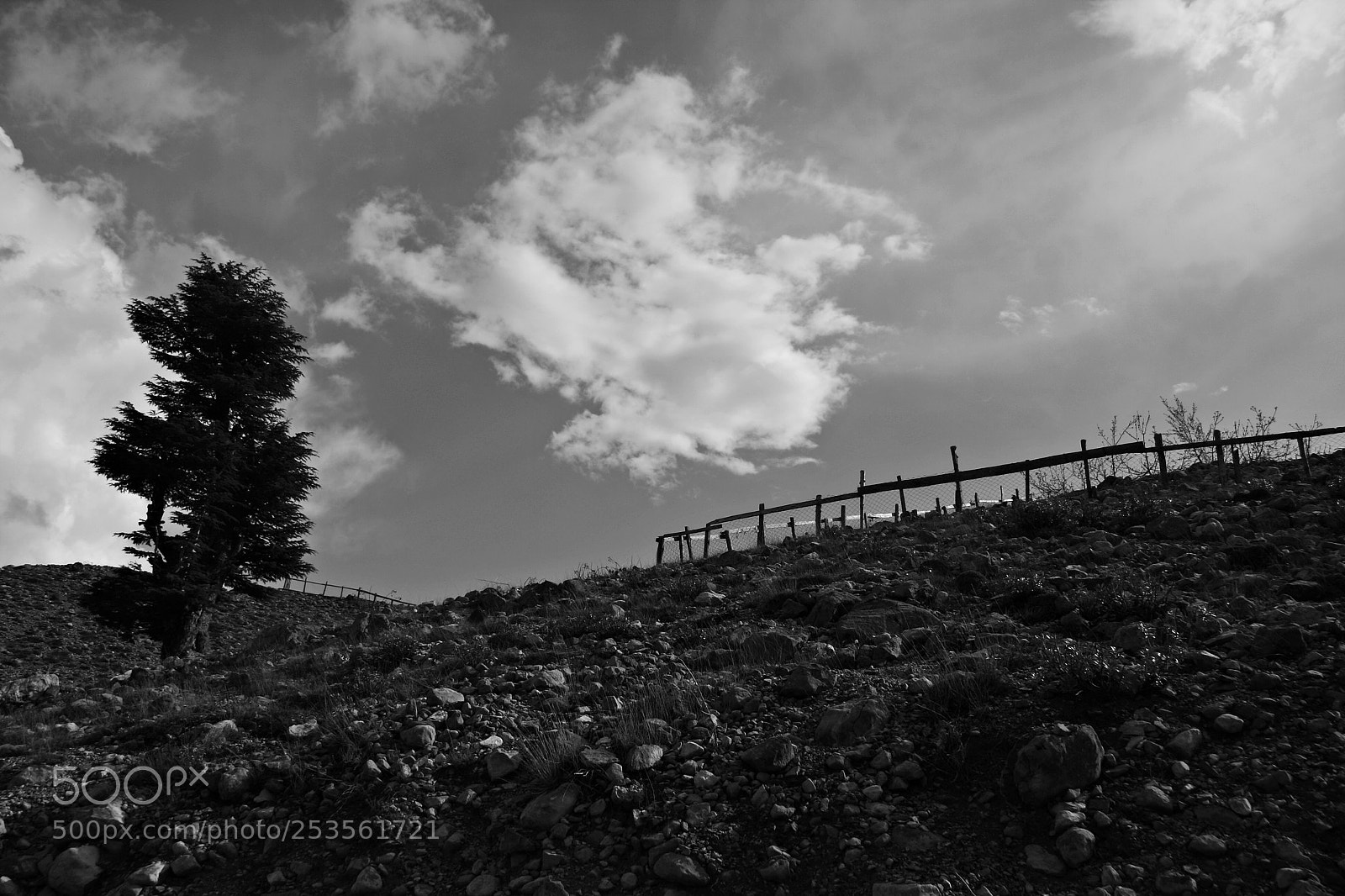 Canon EOS 40D sample photo. Untitled photography