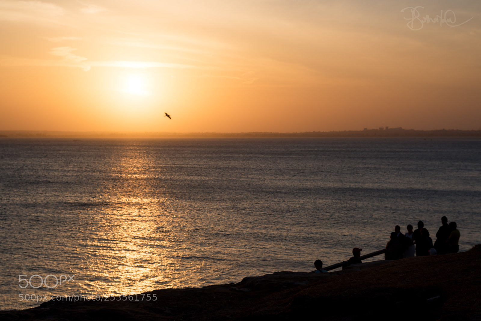 Nikon D810 sample photo. Close of day photography