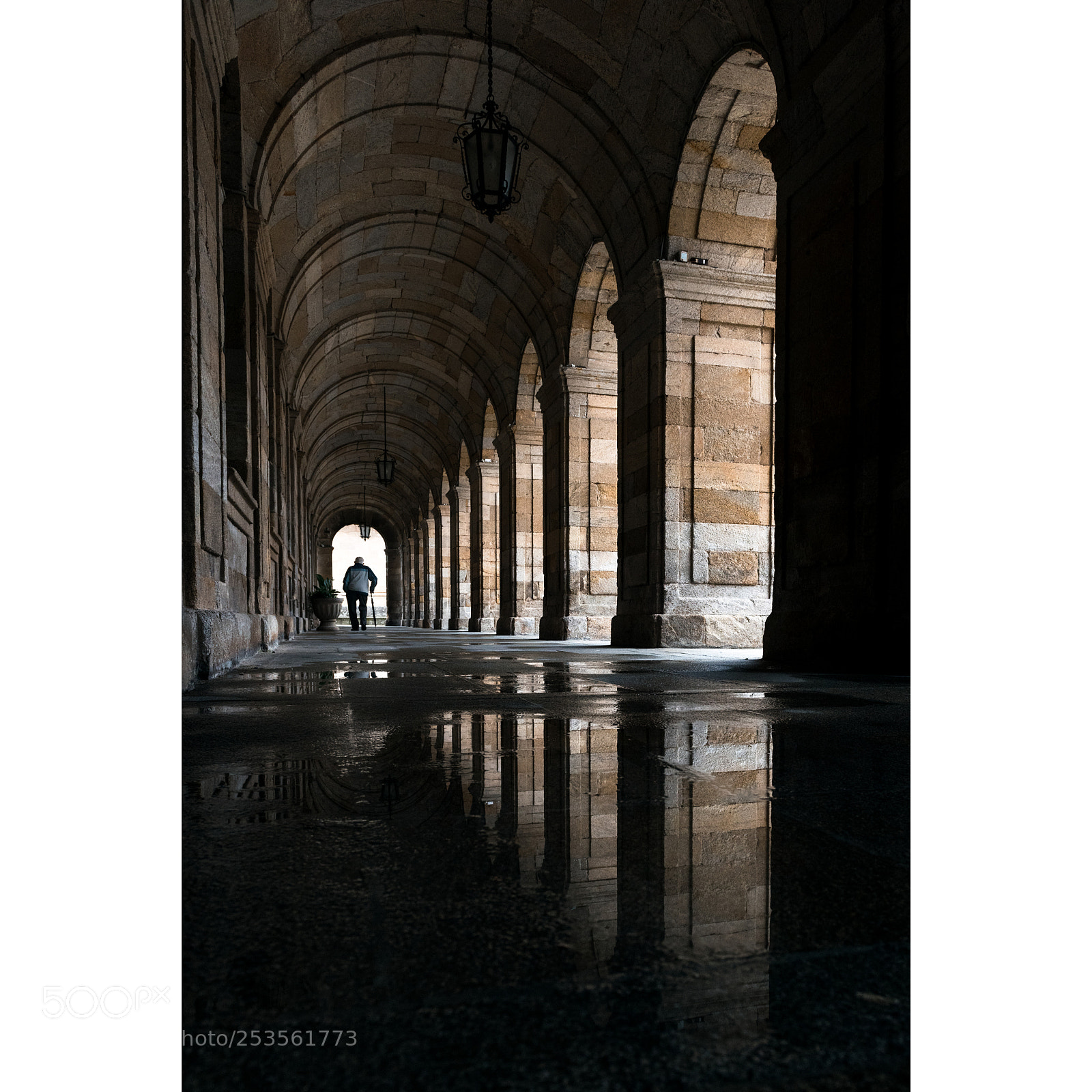 Nikon D810 sample photo. Raxoi photography