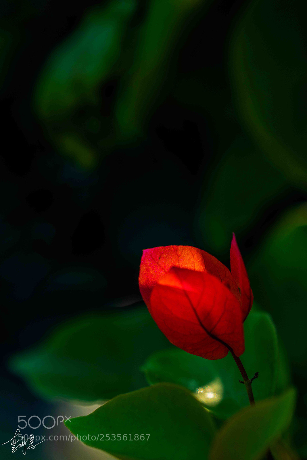 Sony a7R sample photo. 光陰 photography