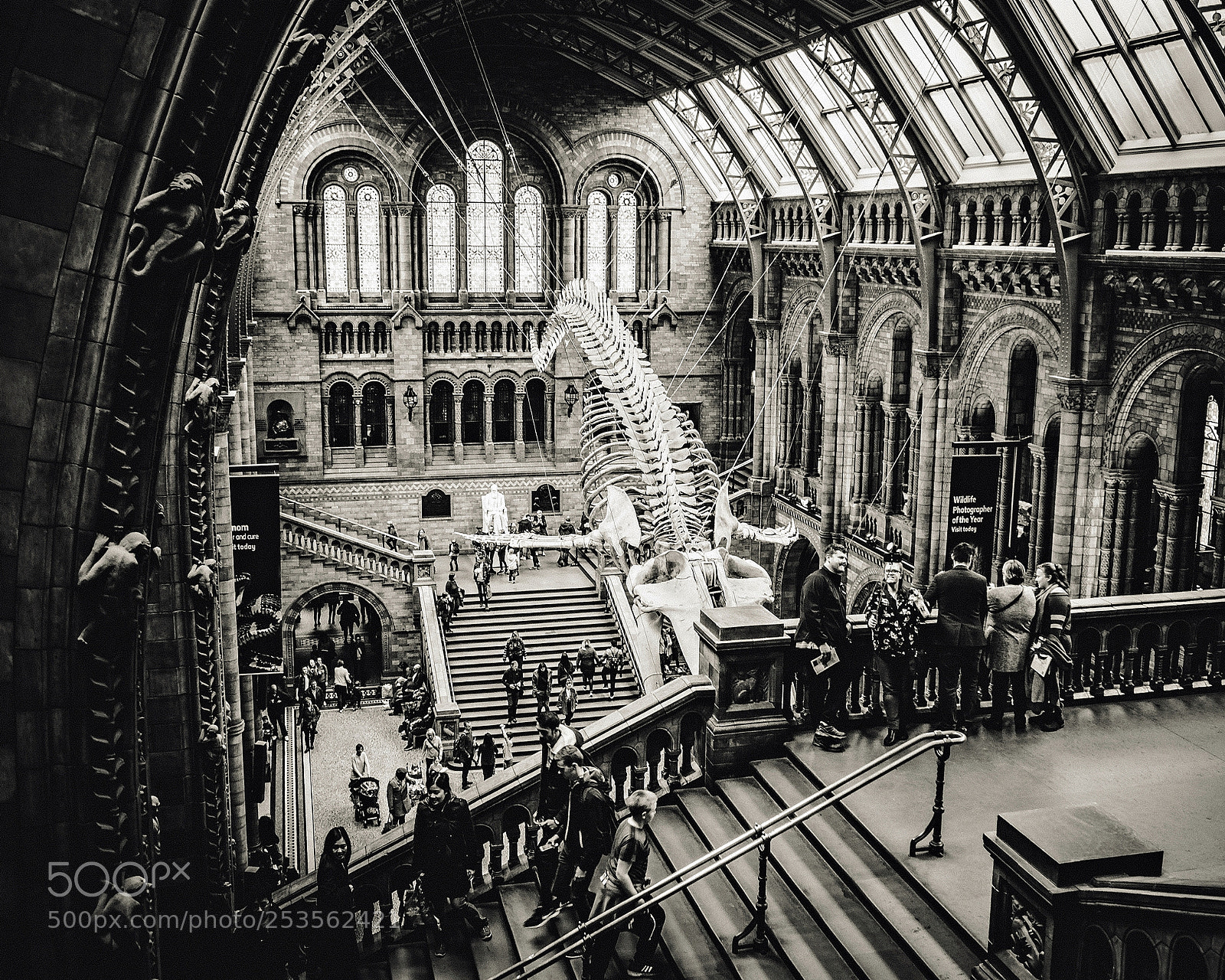 Olympus OM-D E-M5 sample photo. Cathedral to natural history photography