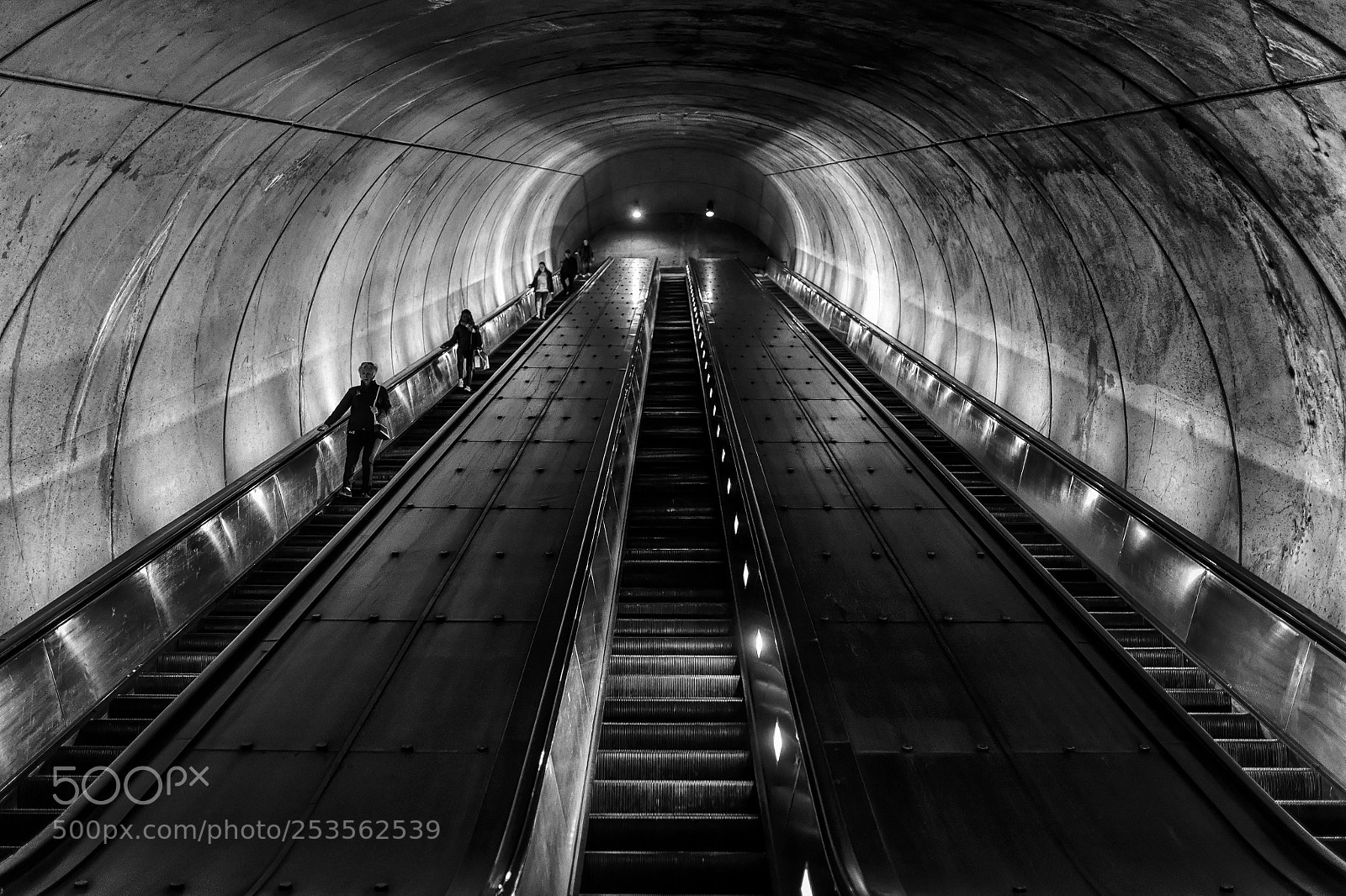 Nikon Df sample photo. The tube photography