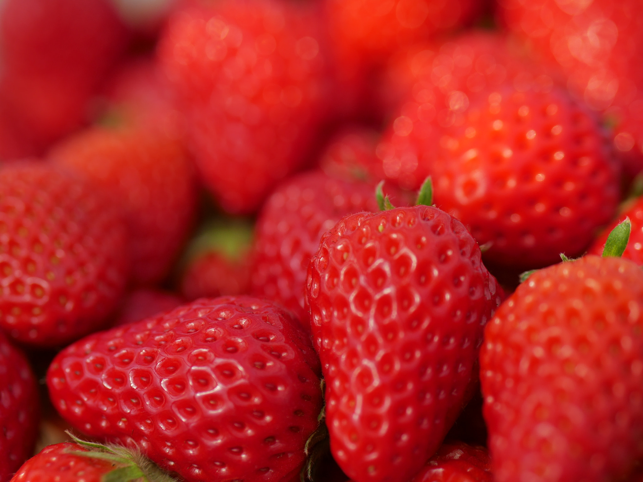 Panasonic Lumix DMC-GF7 sample photo. Sweet red photography