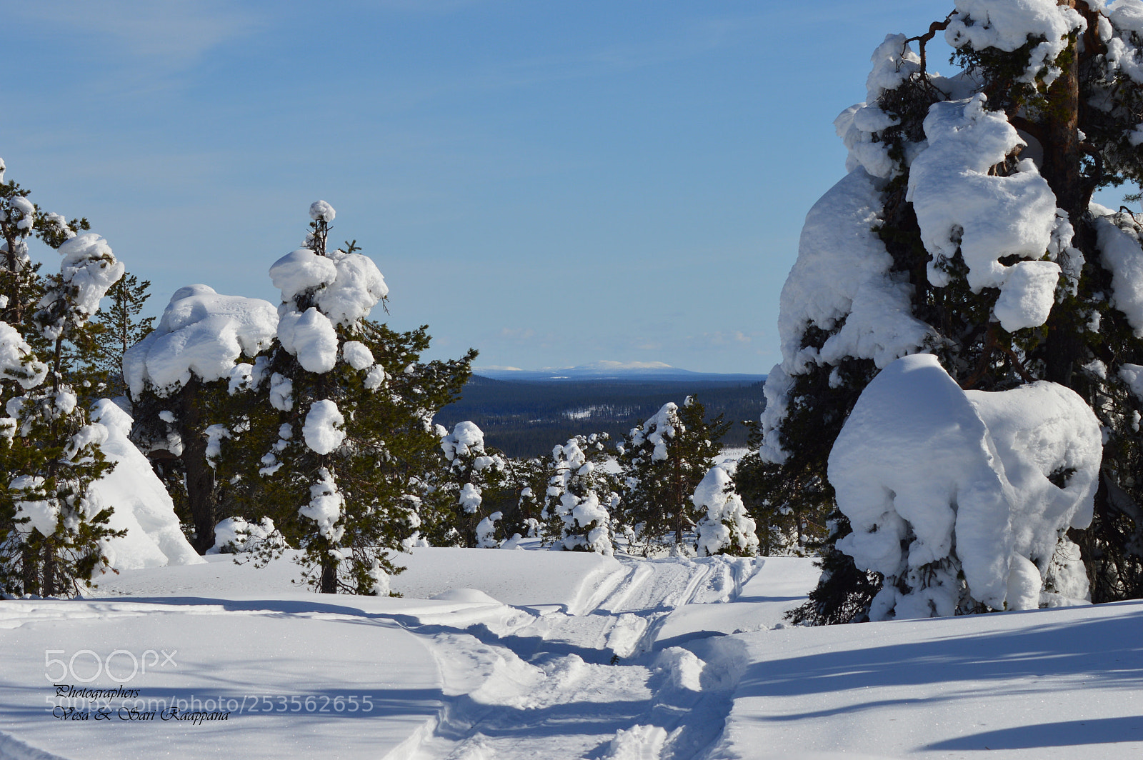 Nikon D3200 sample photo. Snow world photography