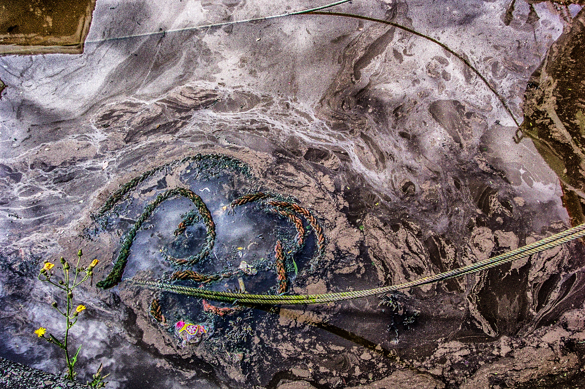 Kodak DC4800 ZOOM DIGITAL CAMERA sample photo. In the corner of a dock photography