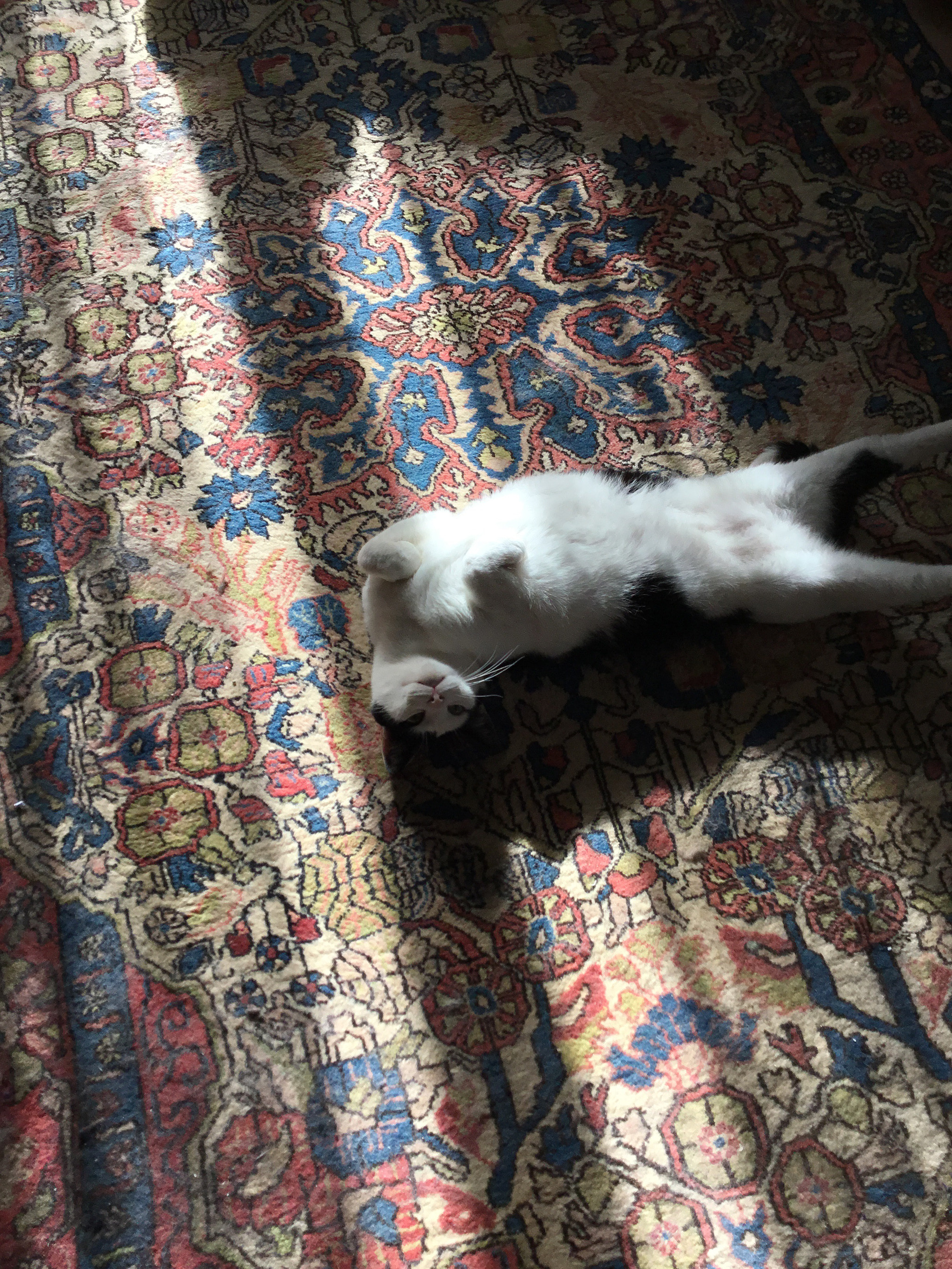Apple iPad (5th generation) sample photo