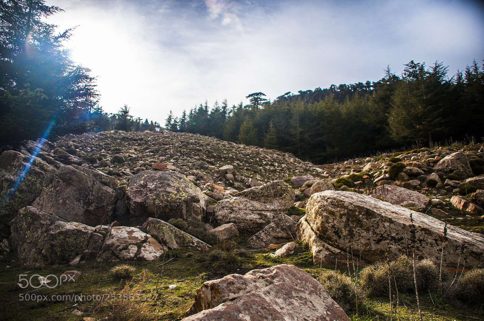 Nikon D5000 sample photo. Montagne chilia ( batna) photography